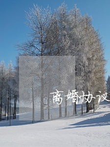 离婚协议 签订 离婚协议 签订